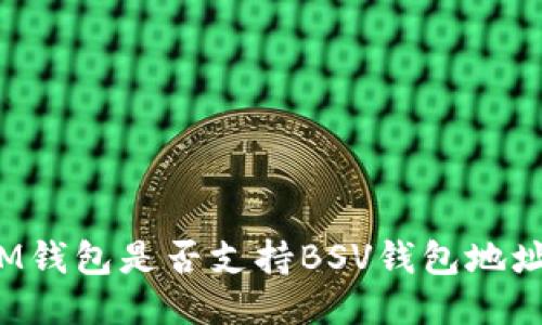 IM钱包是否支持BSV钱包地址？