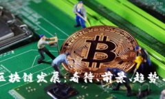 国内区块链发展：看待、