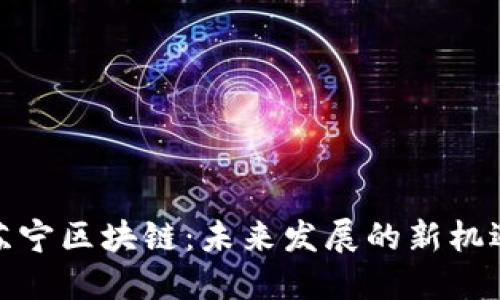 苏宁区块链：未来发展的新机遇