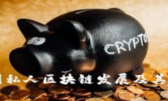 中国私人区块链发展及其