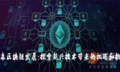 如皋区块链发展：探索新兴技术带来的机遇和挑战