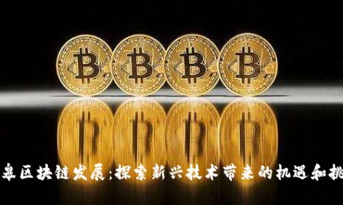 如皋区块链发展：探索新兴技术带来的机遇和挑战