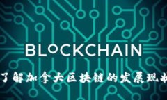 了解加拿大区块链的发展