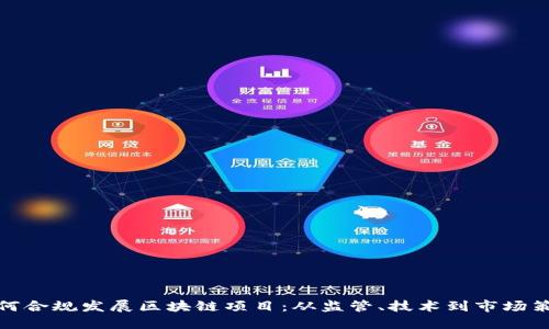 如何合规发展区块链项目：从监管、技术到市场策略