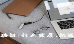 波卡区块链：行业发展、