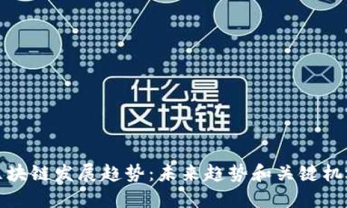 区块链发展趋势：未来趋势和关键机遇