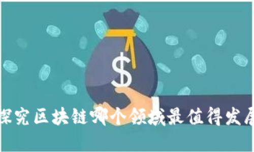探究区块链哪个领域最值得发展