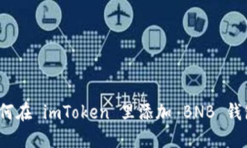 如何在 imToken 里添加 BNB 钱包?