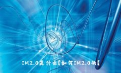 IM2.0是什么？如何IM2.0的？