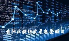 贵阳区块链发展备受瞩目