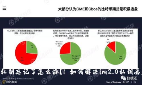 im2.0私钥忘记了怎么办？| 如何解决im2.0私钥丢失问题