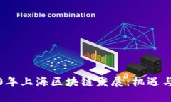 2020年上海区块链发展：机