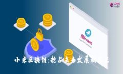 小米区块链：抢占未来发
