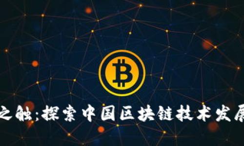 未来之触：探索中国区块链技术发展之路