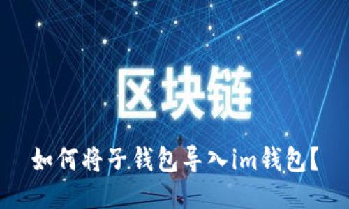 如何将子钱包导入im钱包？