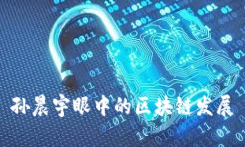 孙晨宇眼中的区块链发展