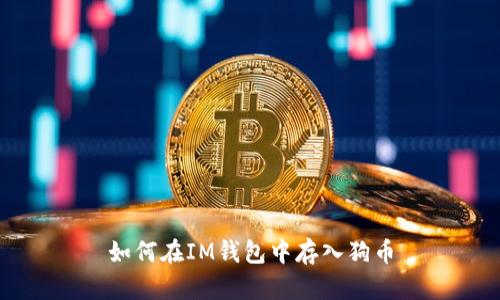 如何在IM钱包中存入狗币