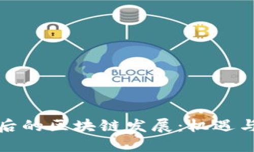 变革后的区块链发展：机遇与挑战