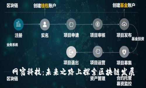 网宿科技：未来之路上探索区块链发展