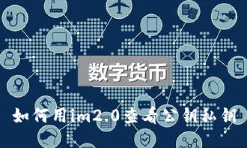 如何用im2.0查看公钥私钥