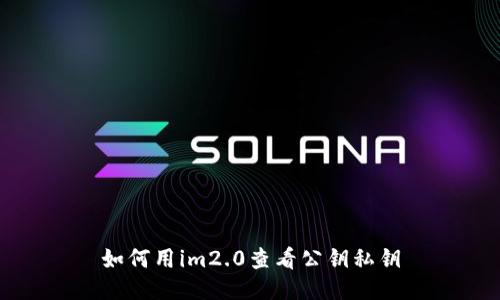如何用im2.0查看公钥私钥