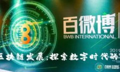 BD区块链发展：探索数字时
