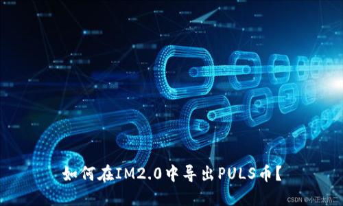 如何在IM2.0中导出PULS币?