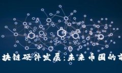  区块链硬件发展：未来币