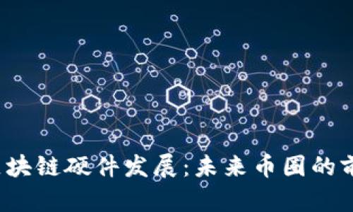  区块链硬件发展：未来币圈的前景