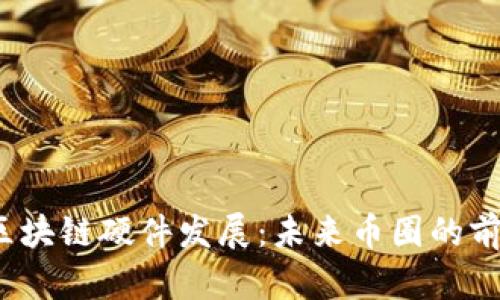  区块链硬件发展：未来币圈的前景