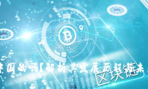 IM钱包是中国的吗？解析其发展历程与未来发展趋势