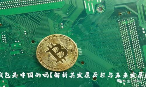 IM钱包是中国的吗？解析其发展历程与未来发展趋势