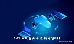 IM2.0钱包是否支持币安链？