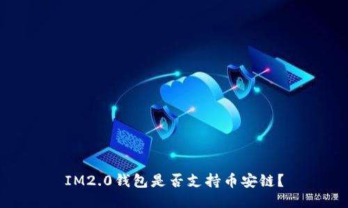 IM2.0钱包是否支持币安链？