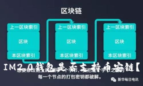 IM2.0钱包是否支持币安链？