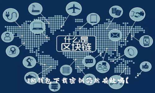 IM钱包下载密钥仍然有效吗?