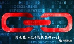什么是im2.0钱包里的vgs？