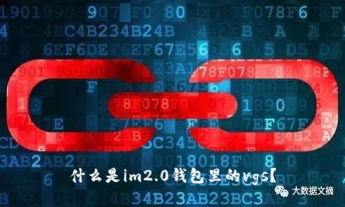 什么是im2.0钱包里的vgs？