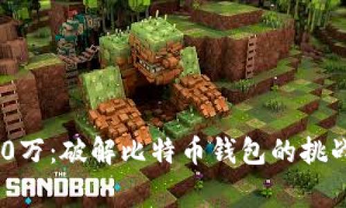 悬赏100万：破解比特币钱包的挑战与思考