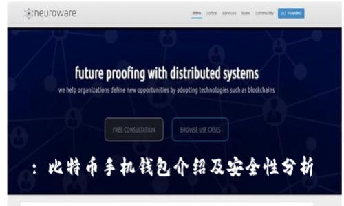 : 比特币手机钱包介绍及安全性分析