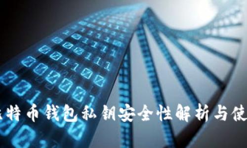 手机比特币钱包私钥安全性解析与使用指南