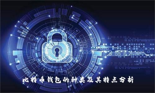 比特币钱包的种类及其特点分析