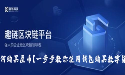 如何购买屎币?一步步教你使用钱包购买数字货币