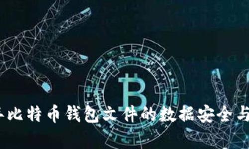: 2011年比特币钱包文件的数据安全与恢复指南