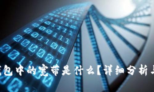 TRX钱包中的宽带是什么？详细分析与解读