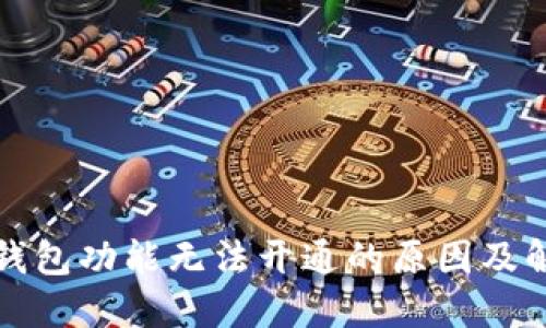 比特币钱包功能无法开通的原因及解决方案