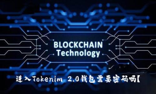 进入Tokenim 2.0钱包需要密码吗?
