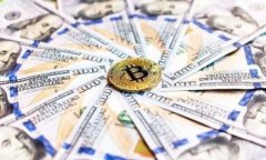 如何使用Tokenim查看其他钱