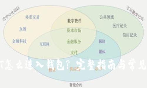 USDT怎么进入钱包? 完整指南与常见问题