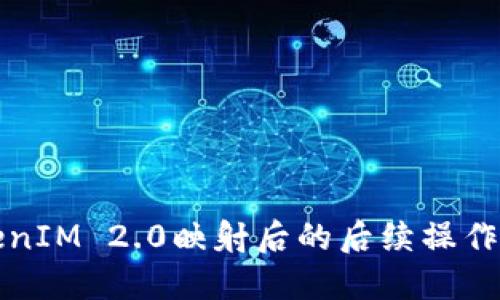 TokenIM 2.0映射后的后续操作指南